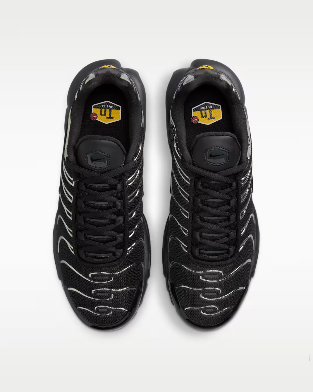 NK TN Negro